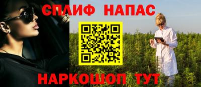 прущие грибы Дубна
