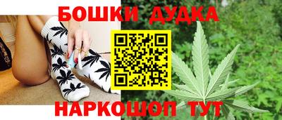 амф Донской