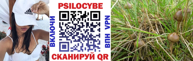 Галлюциногенные грибы GOLDEN TEACHER  omg сайт  Тольятти  цены  