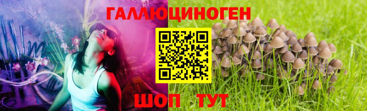 Тольятти  Галлюциногенные грибы Cubensis  Вход с VPN 